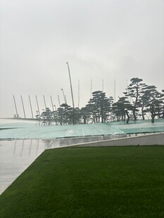 湖边绿树与远处林立桅杆