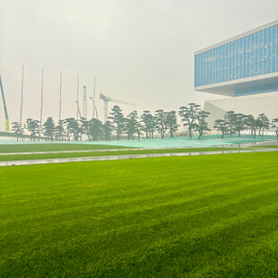 绿茵场地与现代建筑景观