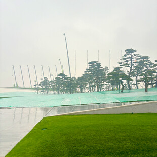 湖畔绿地与林立桅杆景观