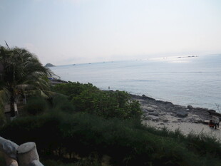 三亚海边景致 绿植环绕的海岸线