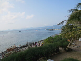 三亚海边美景 椰树相伴