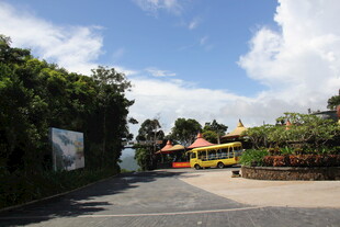 三亚热带风光中的多彩街道景象