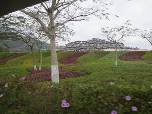 三亚园林景观中的多彩植物