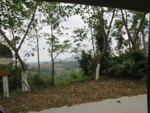 三亚林间小道 自然静谧之景