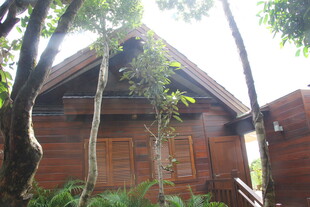 三亚林间木屋 自然静谧之景