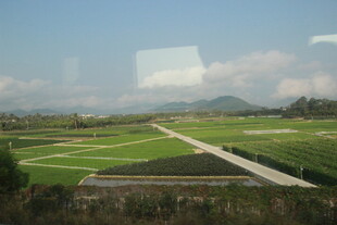 三亚广袤田野风光