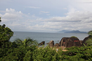 三亚山海间的繁茂植被景观