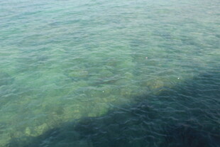 三亚清澈海面下的光影世界