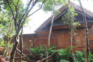 三亚林间木屋 自然环绕的居所