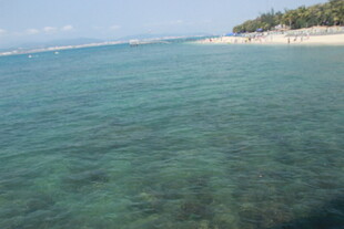 三亚清澈海域与岸边景致