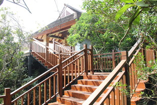 三亚林间木质楼梯与温馨小屋