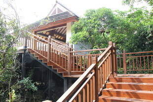 三亚山林间木质观景栈道