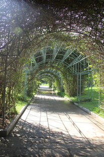 三亚绿荫环绕的幽静步道