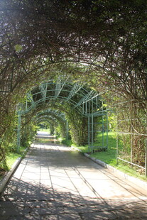 三亚浪漫绿荫花廊景观