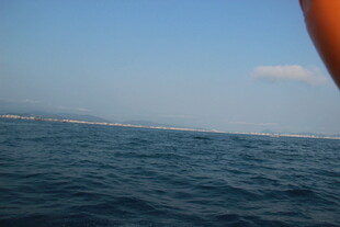 三亚海上风光 远眺天际线