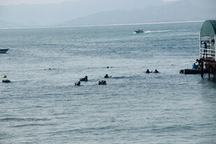 三亚海上休闲场景 多人在水中