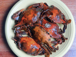 清蒸螃蟹