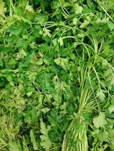 芹菜