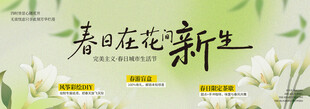 春日花卉新生景象
