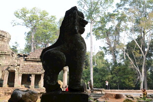 古老寺庙前的威严石狮