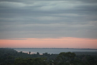 黄昏湖畔树林美景