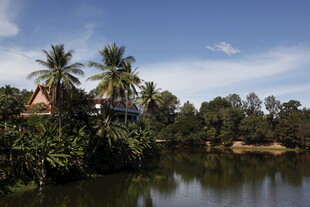 河畔椰树环绕的静谧风光