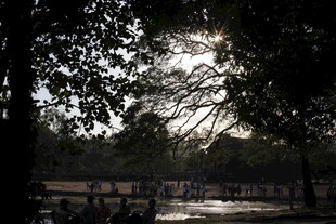 林间光影下的静谧户外场景