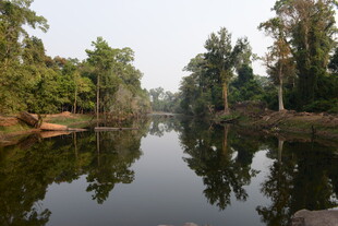 宁静河畔绿树倒影美景
