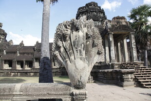 吴哥窟古老树根缠绕石柱