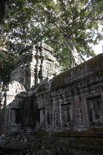 古老丛林中的神秘废弃建筑