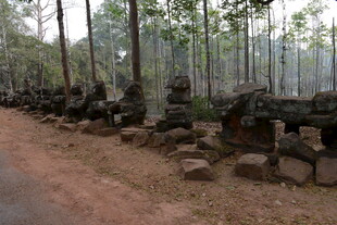 古老丛林中的石砌遗迹