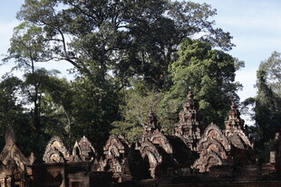 古老寺庙隐于繁茂树林中