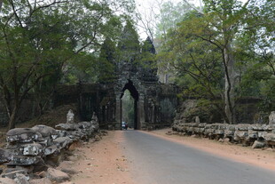 古老石门旁的林间道路