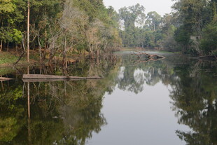 宁静河畔的自然美景