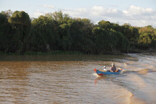 河上小船穿行于茂密树林