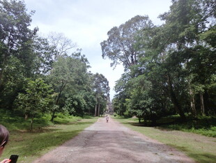 林间幽静土路 绿意盎然