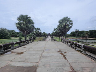 古老石桥 静谧林荫小道