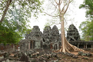 吴哥古迹 古树缠绕的神秘建筑