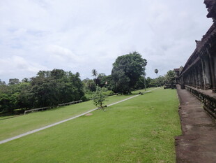 庭院绿草如茵的静谧景致