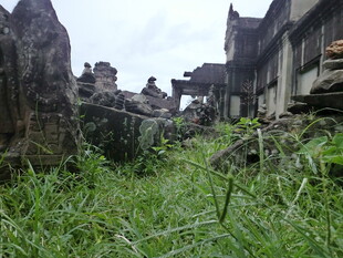 荒废古迹中的茂盛野草