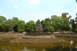 古老寺庙隐于葱郁树林间