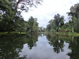 宁静河畔自然风光如画