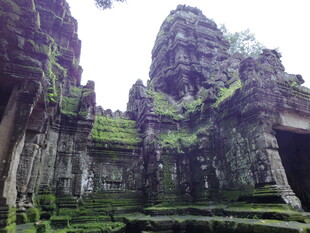 吴哥窟古老石像与繁茂植被