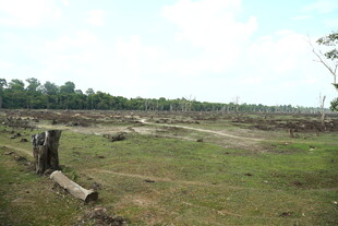 野外荒废草地与木栅栏