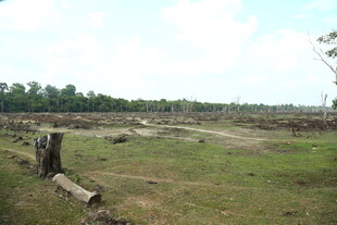 荒废草地与残旧围栏景象