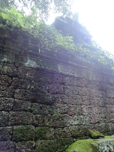古老石墙 绿植覆盖的遗迹