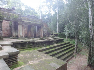 古老丛林中的神秘遗址