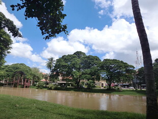 湖畔绿树蓝天美景