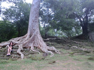 人倚古老大树根系休憩