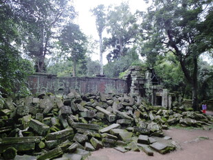 古老废墟隐于繁茂树林中